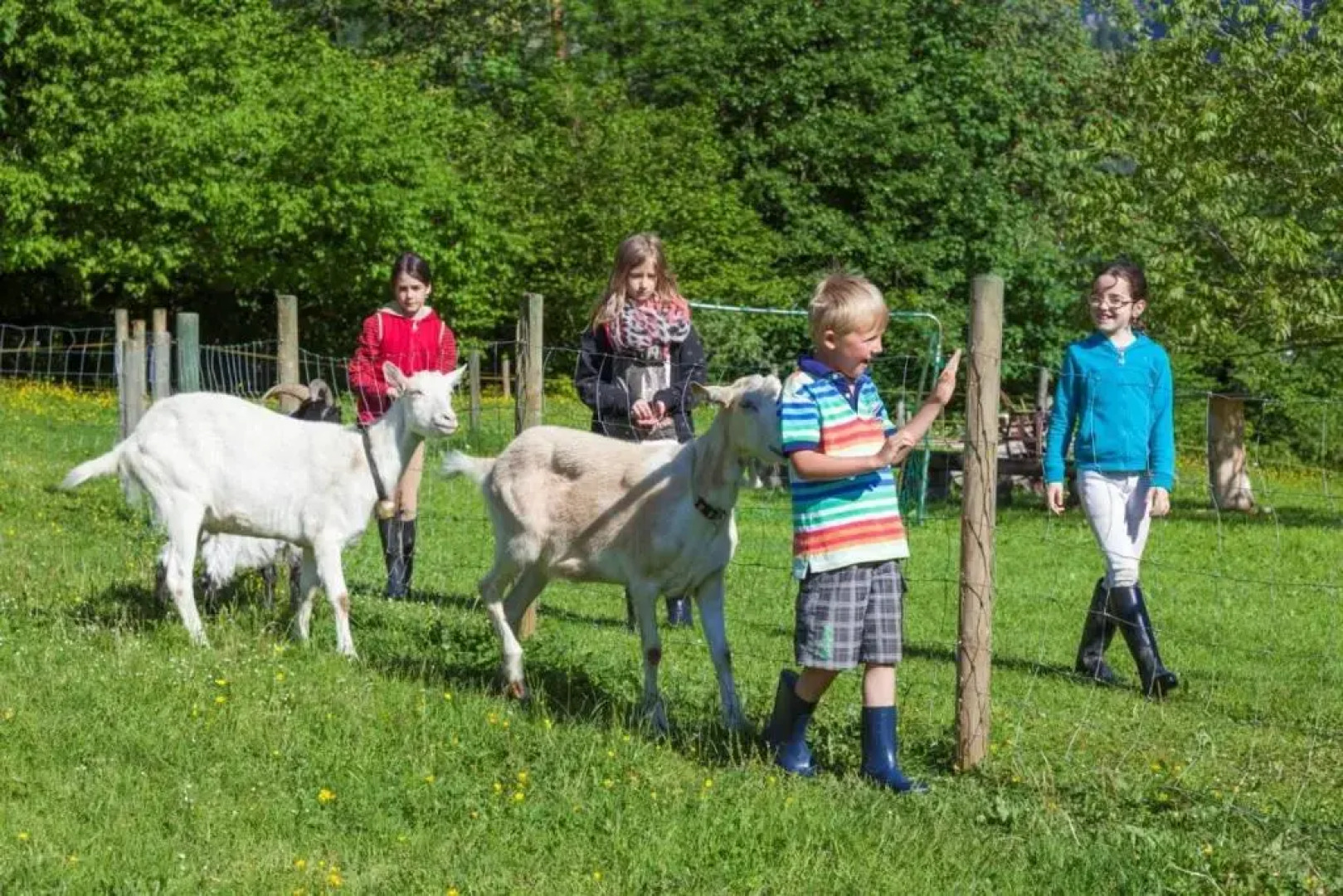 Gästehaus Ferienwohnungen Pfeffererlehen