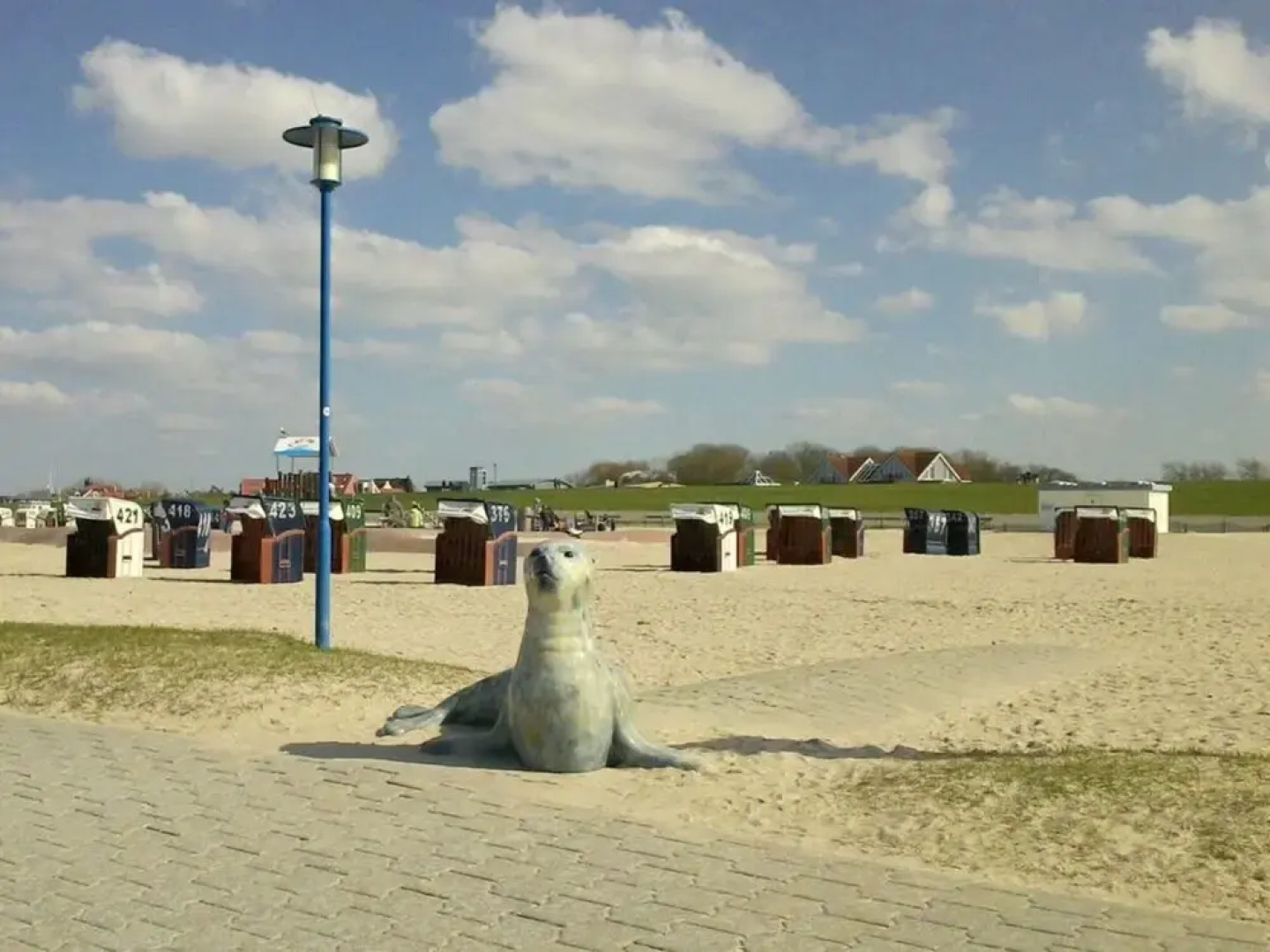 Dyke Space 50 m to the Beach sea