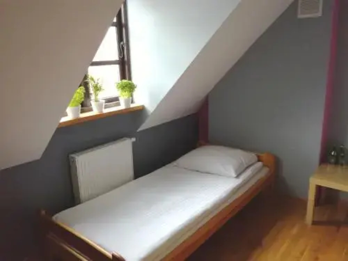 Pod Wierzbą
