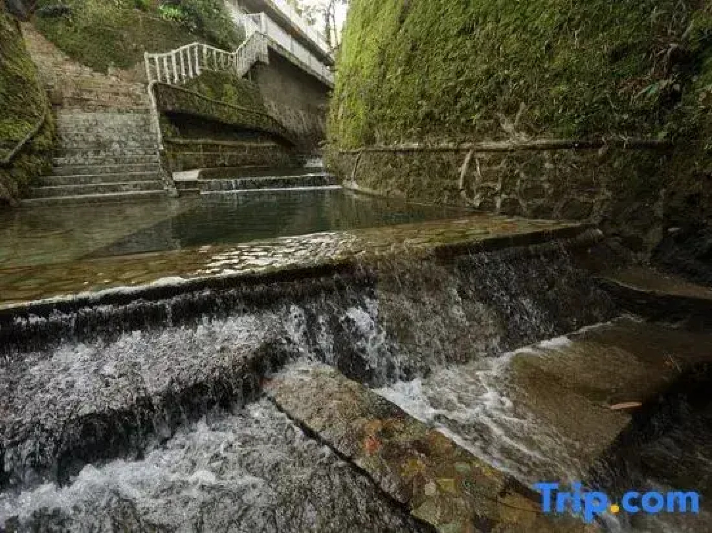 The Ravine by One Selah