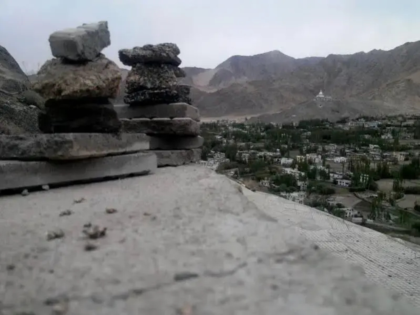 Niri-la Ladakh Guest House Leh