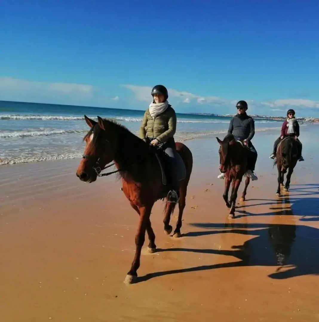 La Villa Paradis Pera