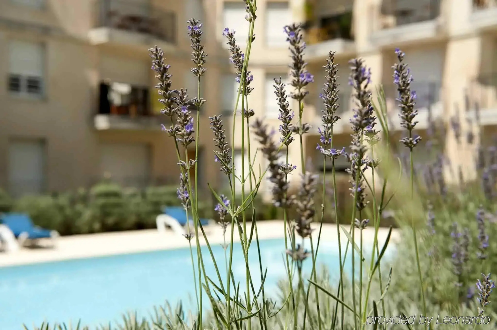 Aparthotel Adagio Access Bordeaux Rodesse