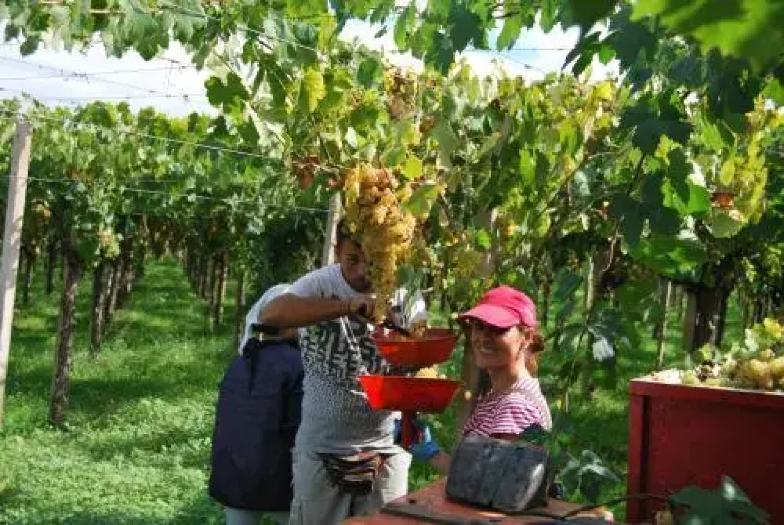 Agriturismo Torre Cristina