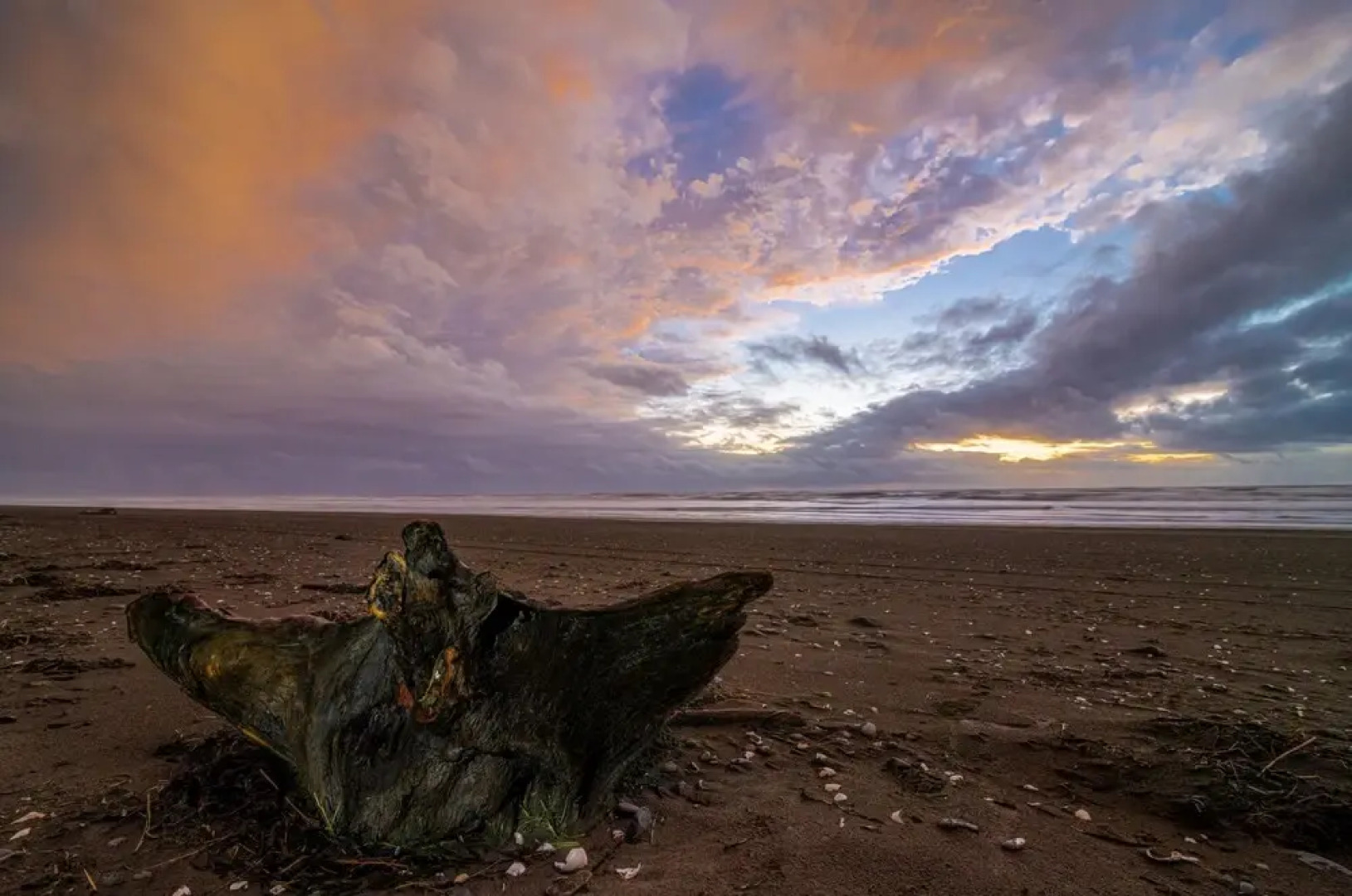 Pacific Motel and RV Park