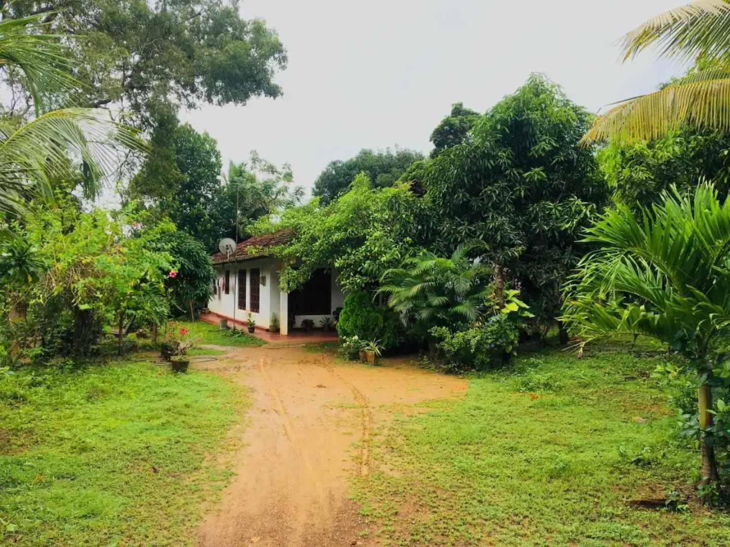 Mama Daisy's Homestay Rekawa.