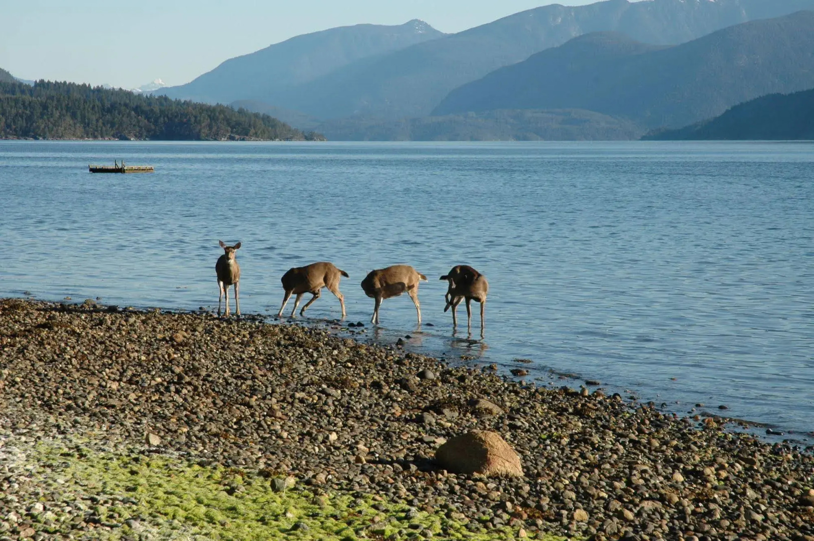 At The Shore Bed and Breakfast