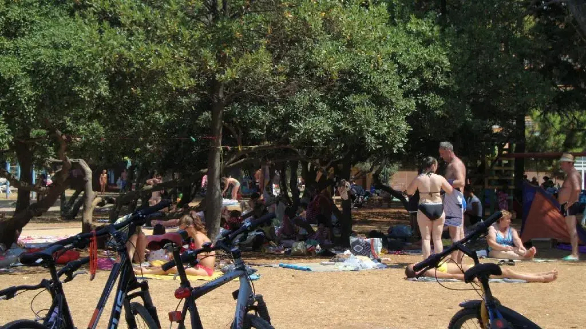 Apartments Punta by Sea