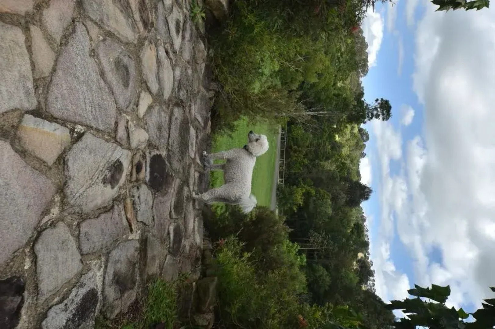 Coverdales B&B at Eumundi