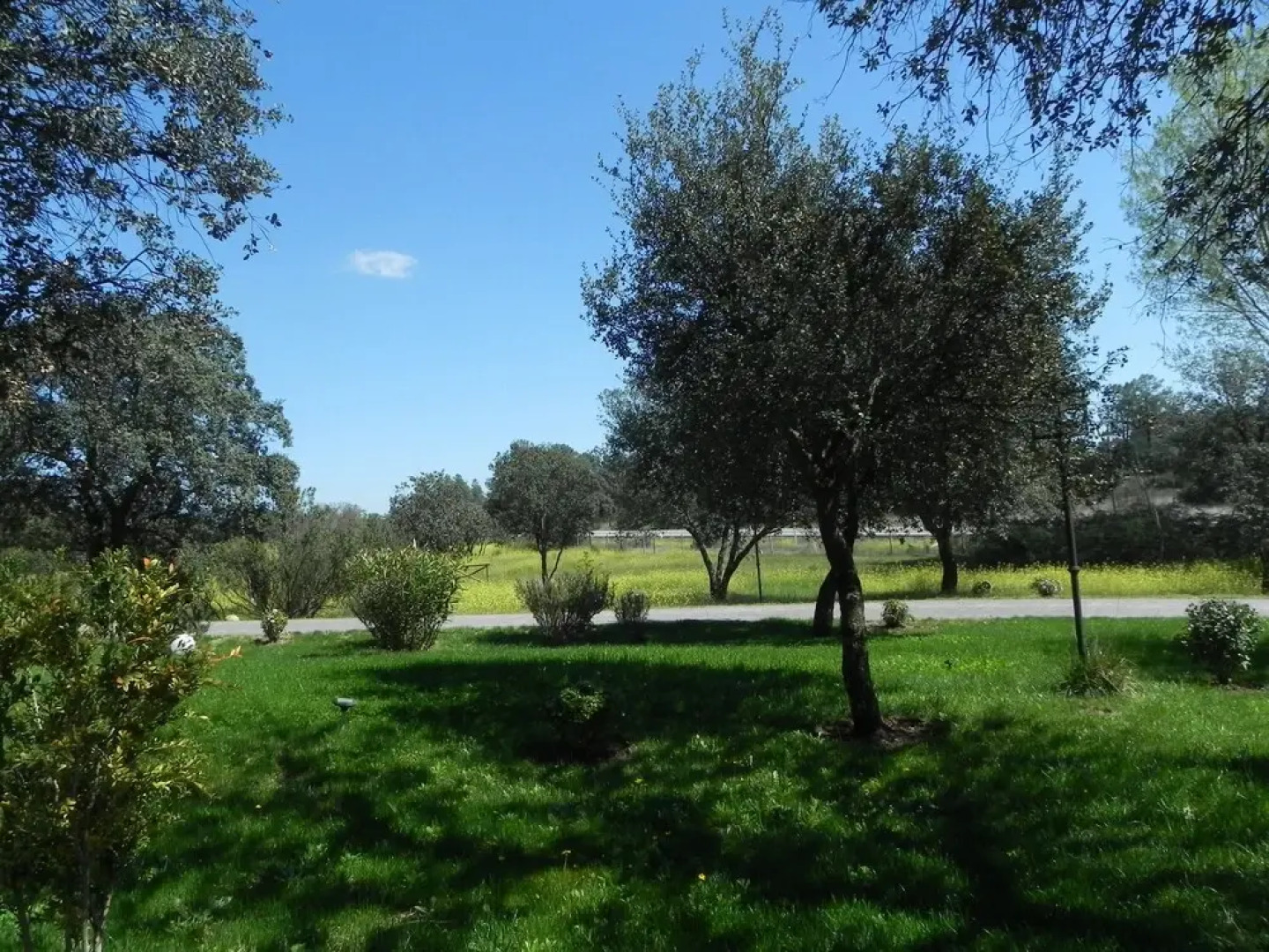 Rusticae Hotel El Tejarejo