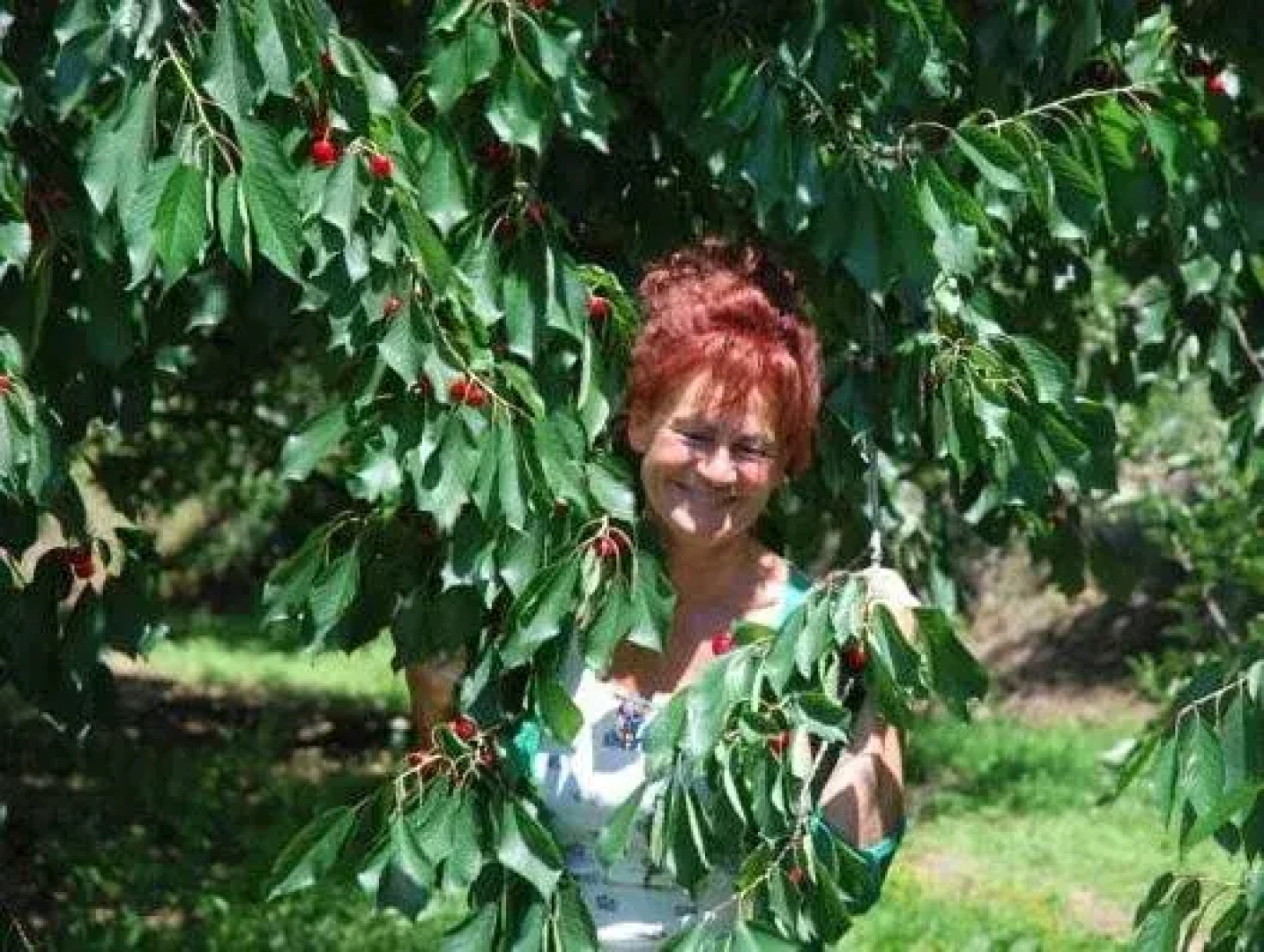 Agriturismo Terra E Sole