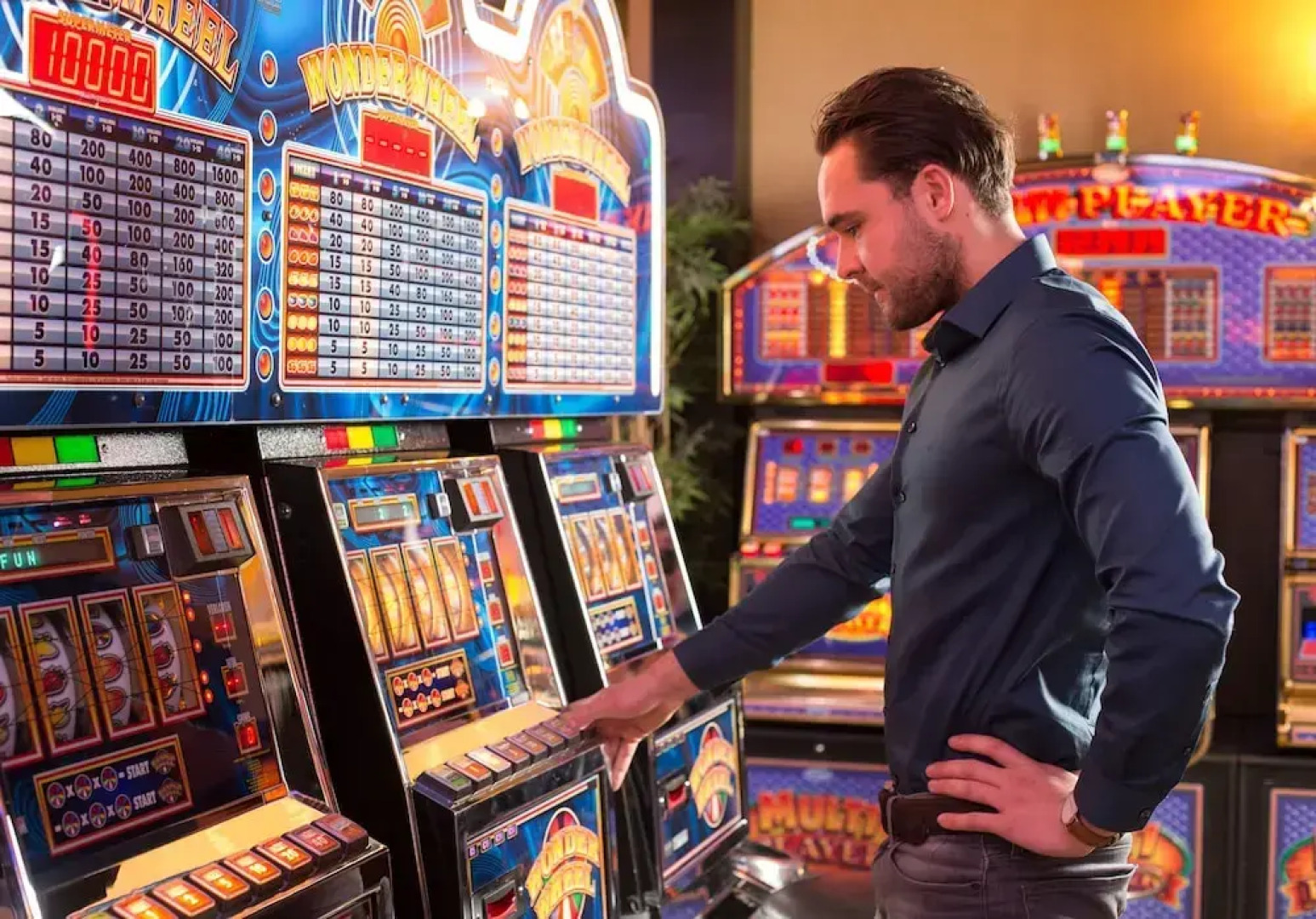 Van Der Valk Avifauna