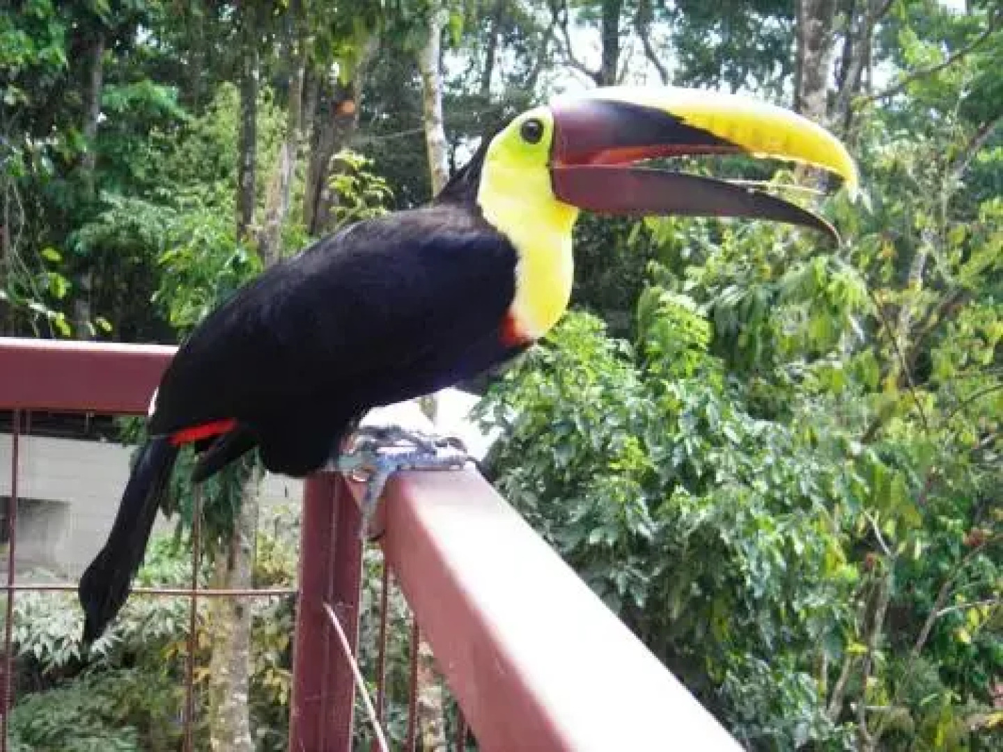 Mar y Selva Ecolodge