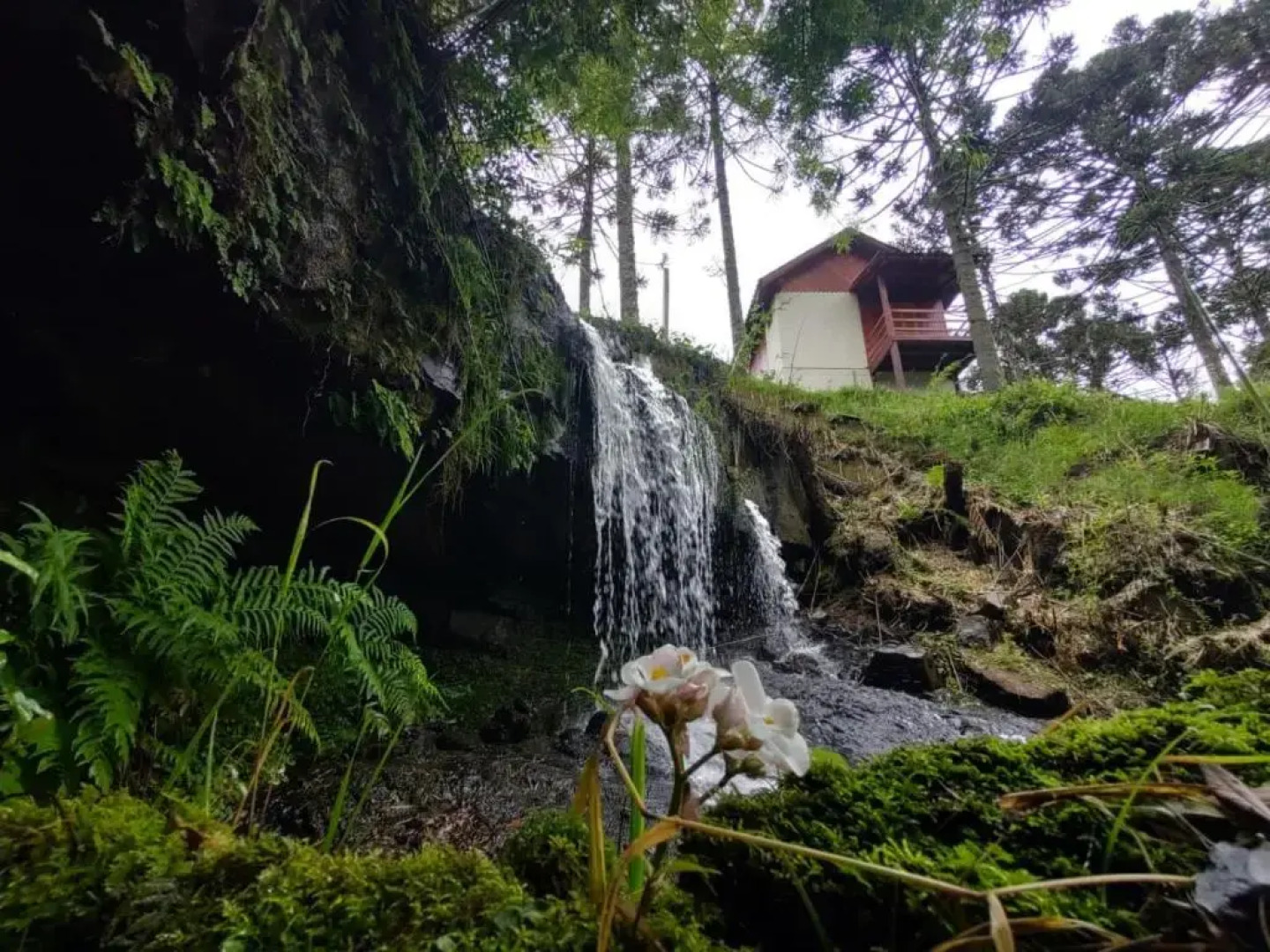 Recanto Baú - Chalé
