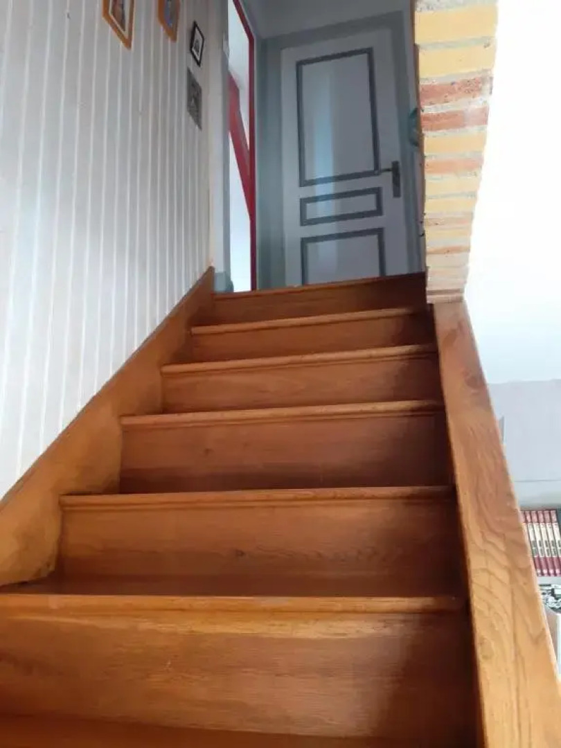 Le CHÊNE AUX OISEAUX