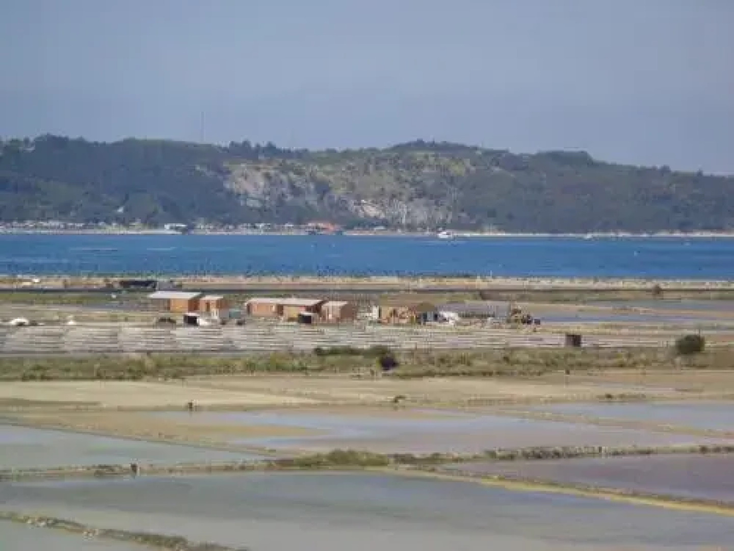 Villa Saline Apartments Portorož