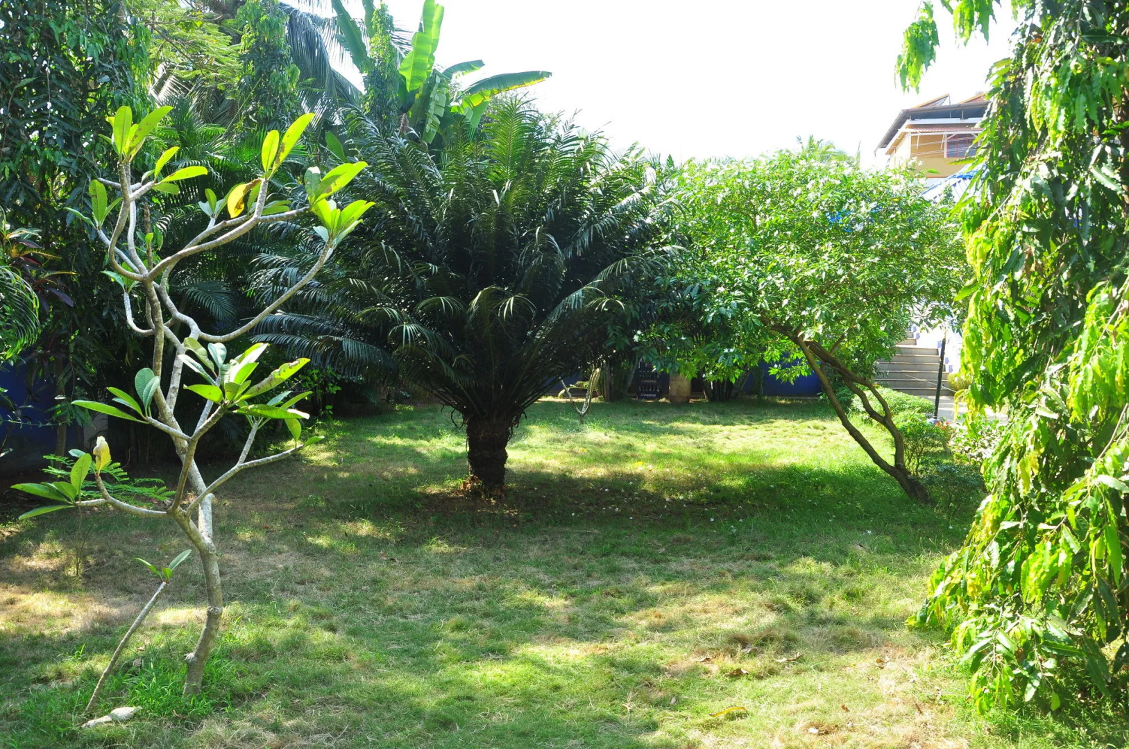 Mayflower Beach Resort