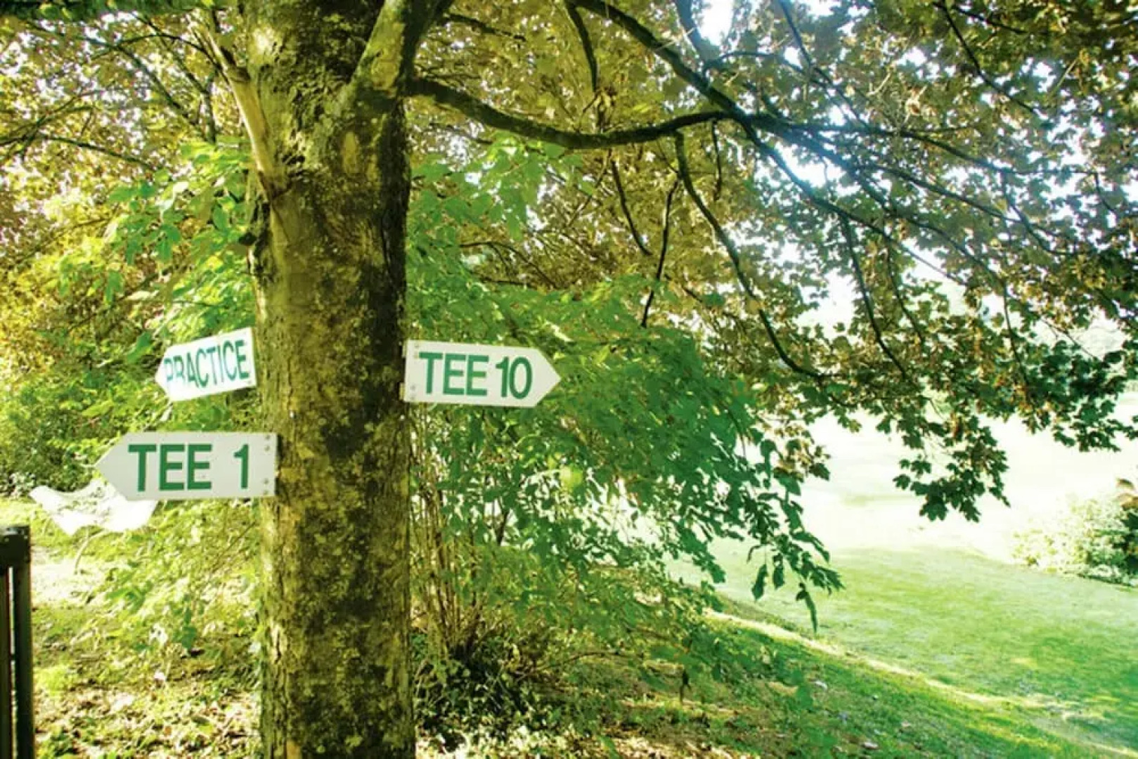 Villa in Mazamet With Private Pool