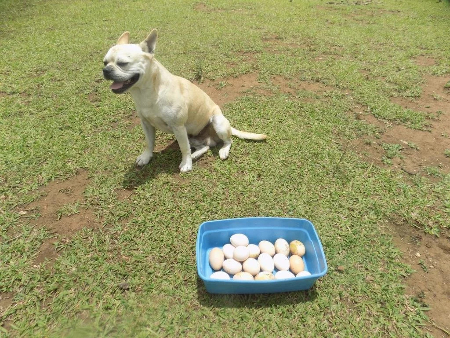 Rancho Hostal La Escondida Eco Park