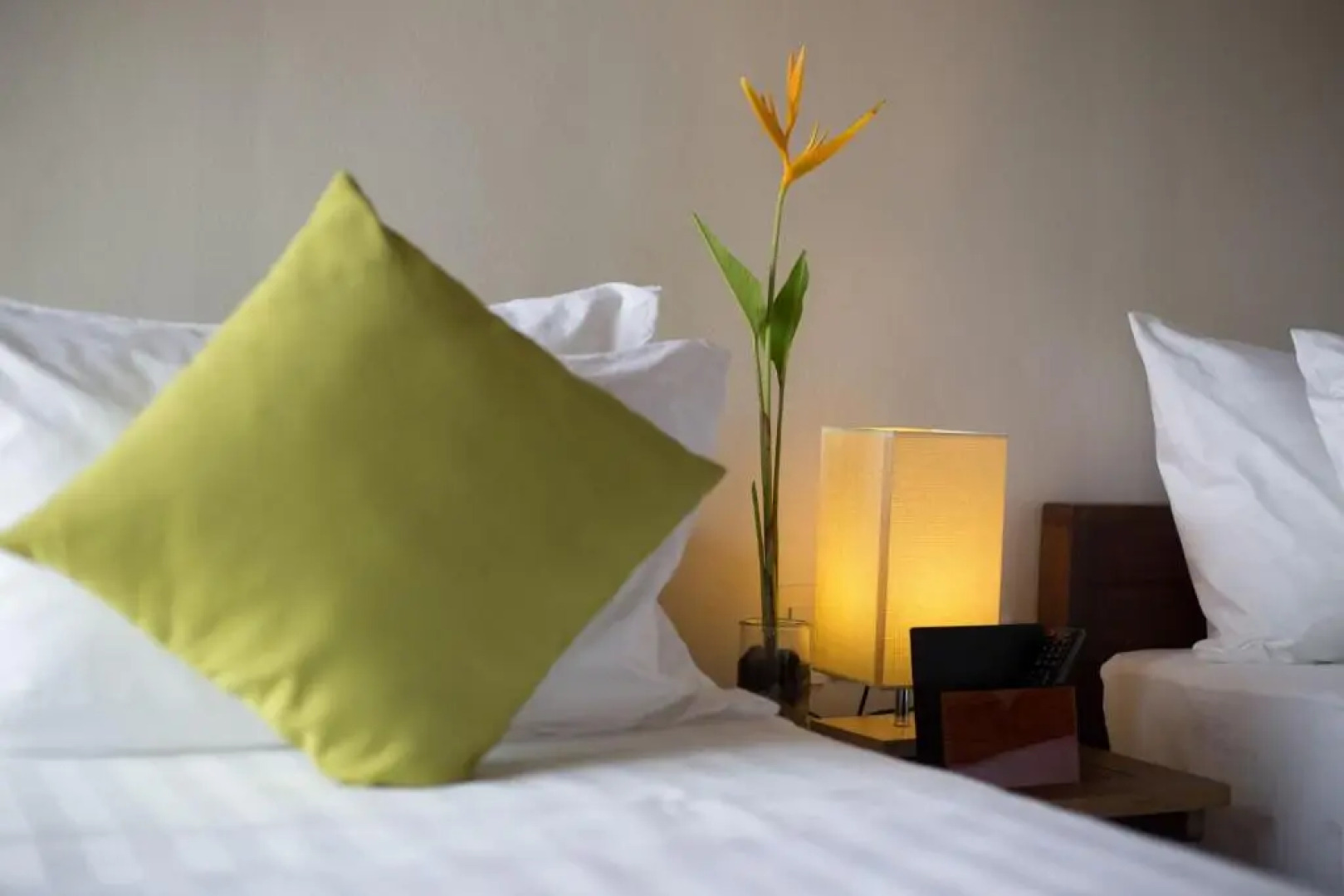 Solina Beach & Nature Resort