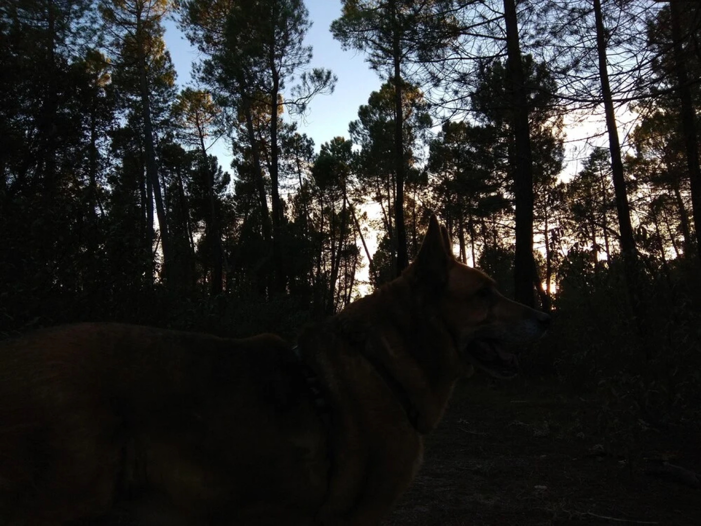 Complejo Rural Arco Iris