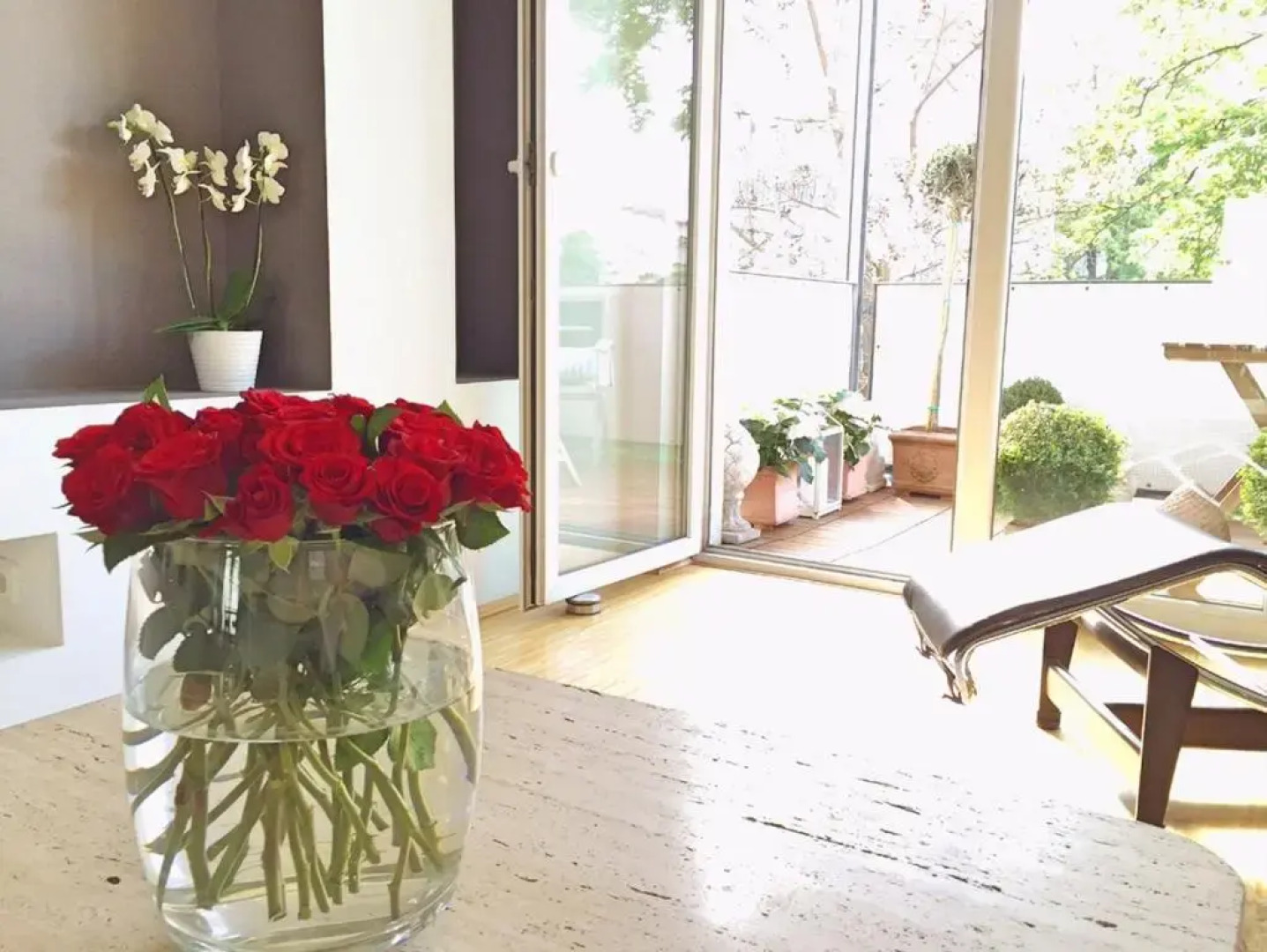 The Apartment Downtown