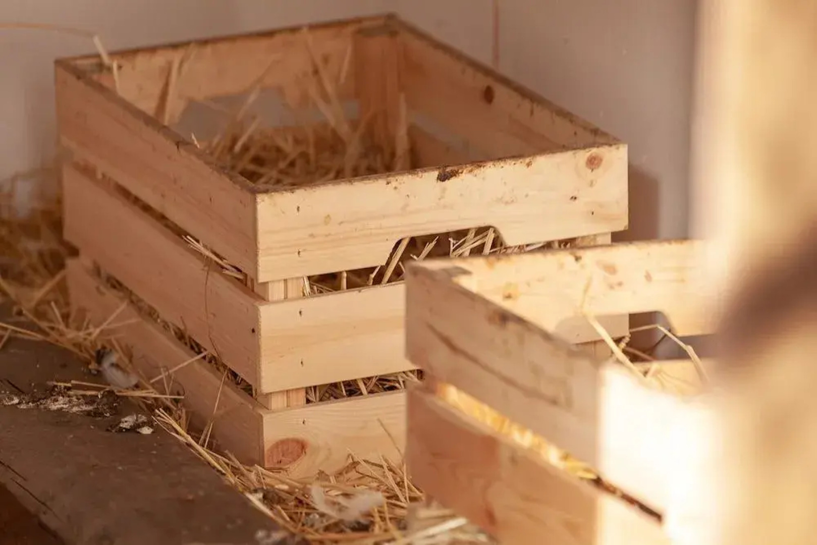 Casa Nanitta Maison de Charme