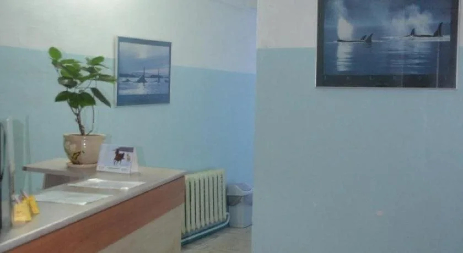 Хостел Платинум