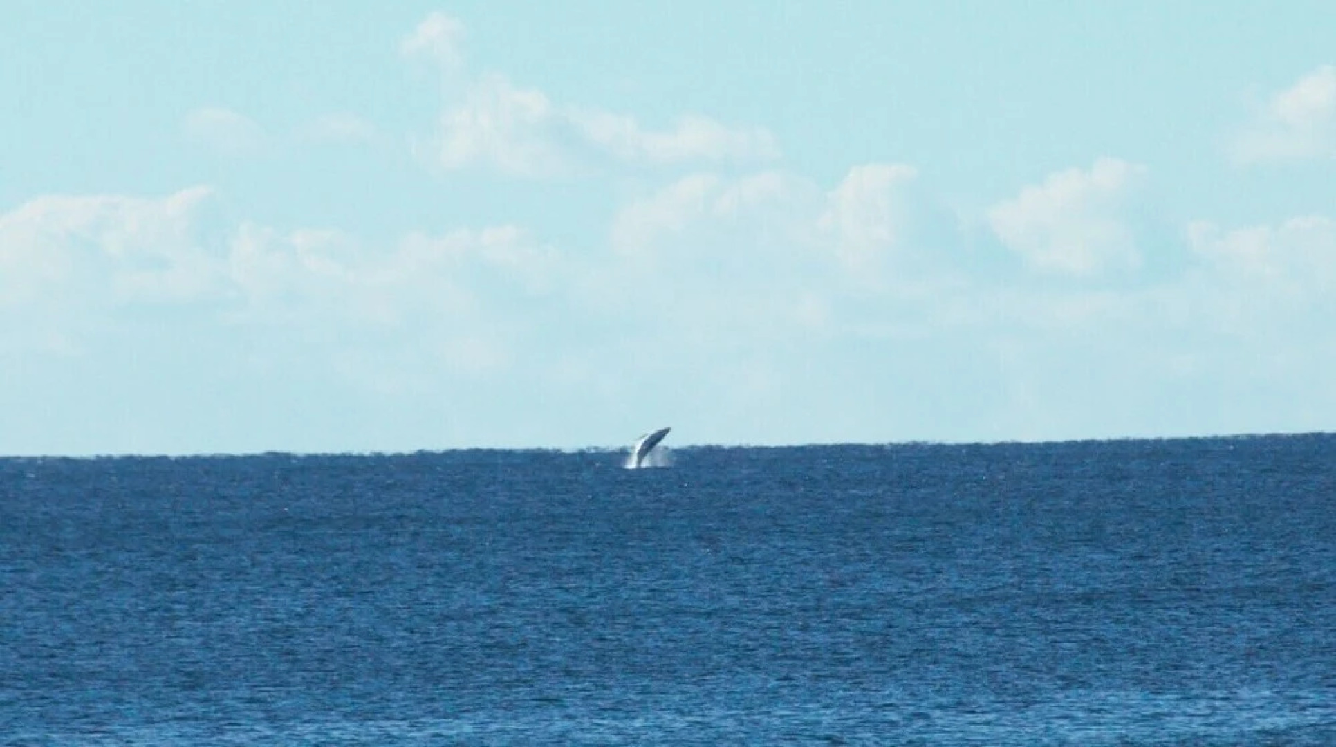 Blue Lagoon Beach Resort