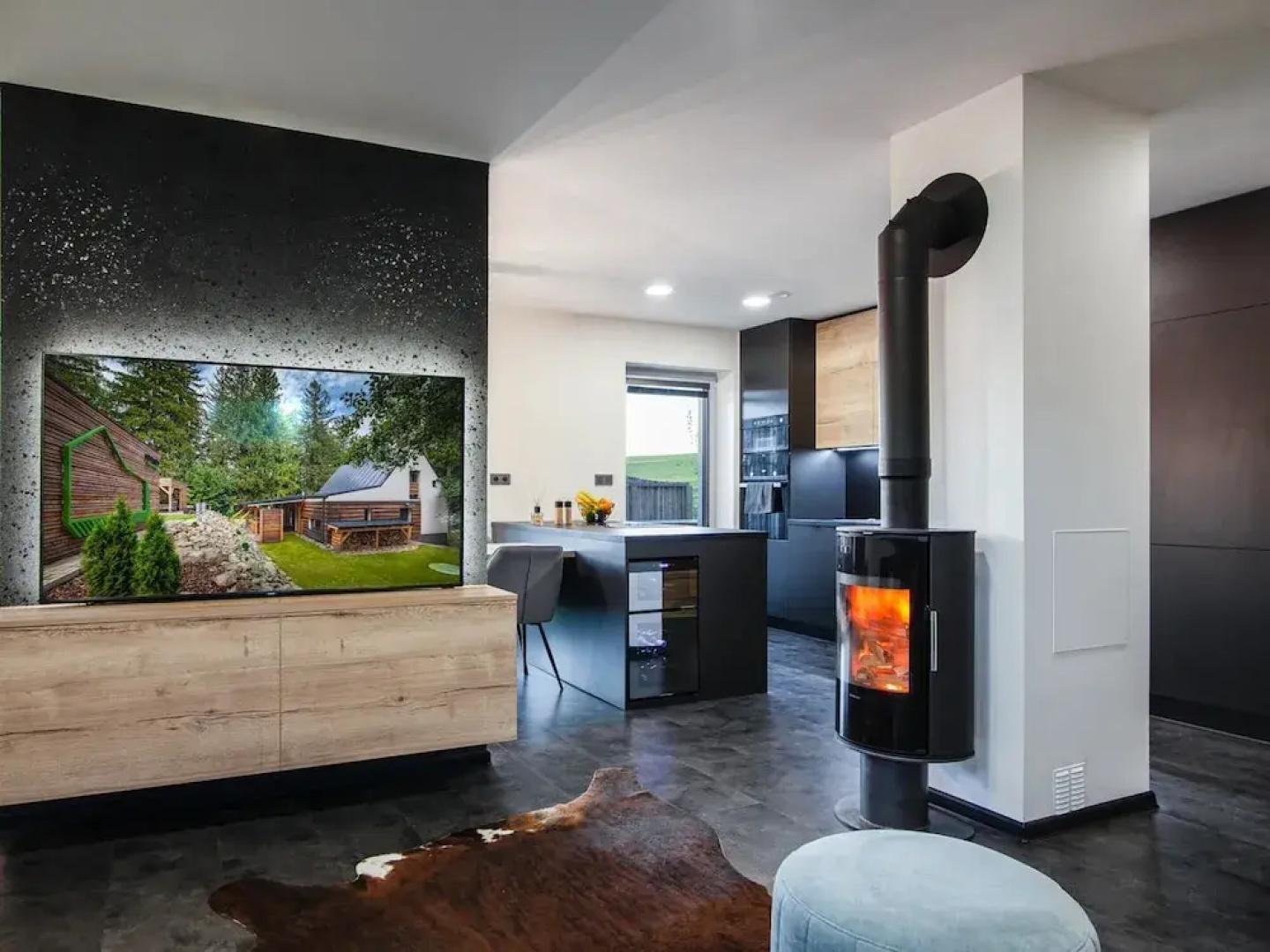 Apartment in Moravia Near Ostrava Town
