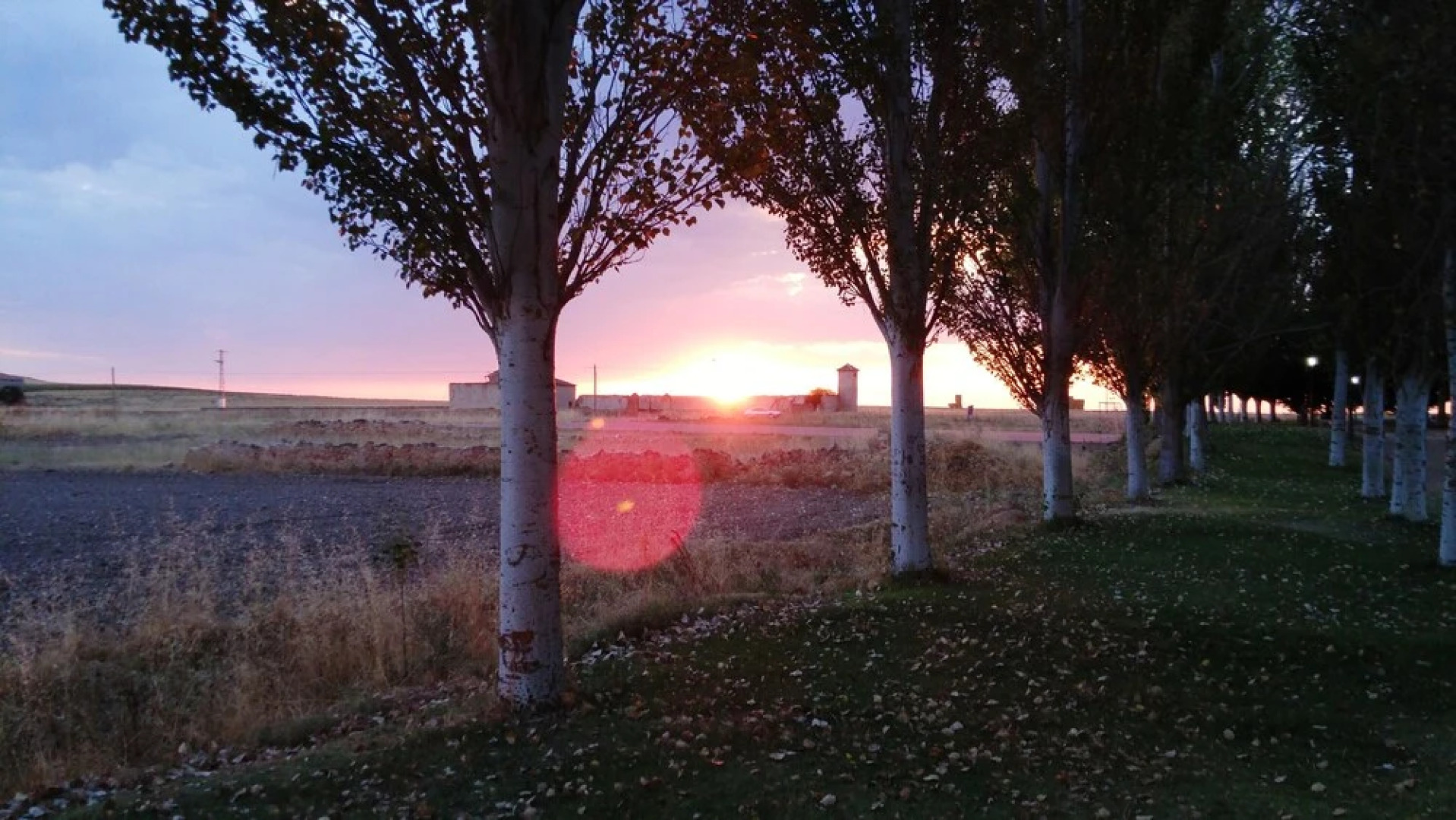 House With 5 Bedrooms in Aldea Real, With Terrace