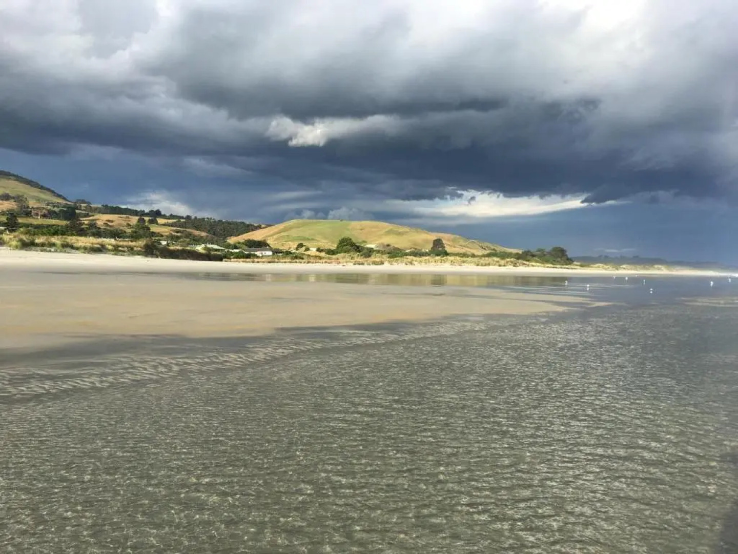 Stay in School by the Sea