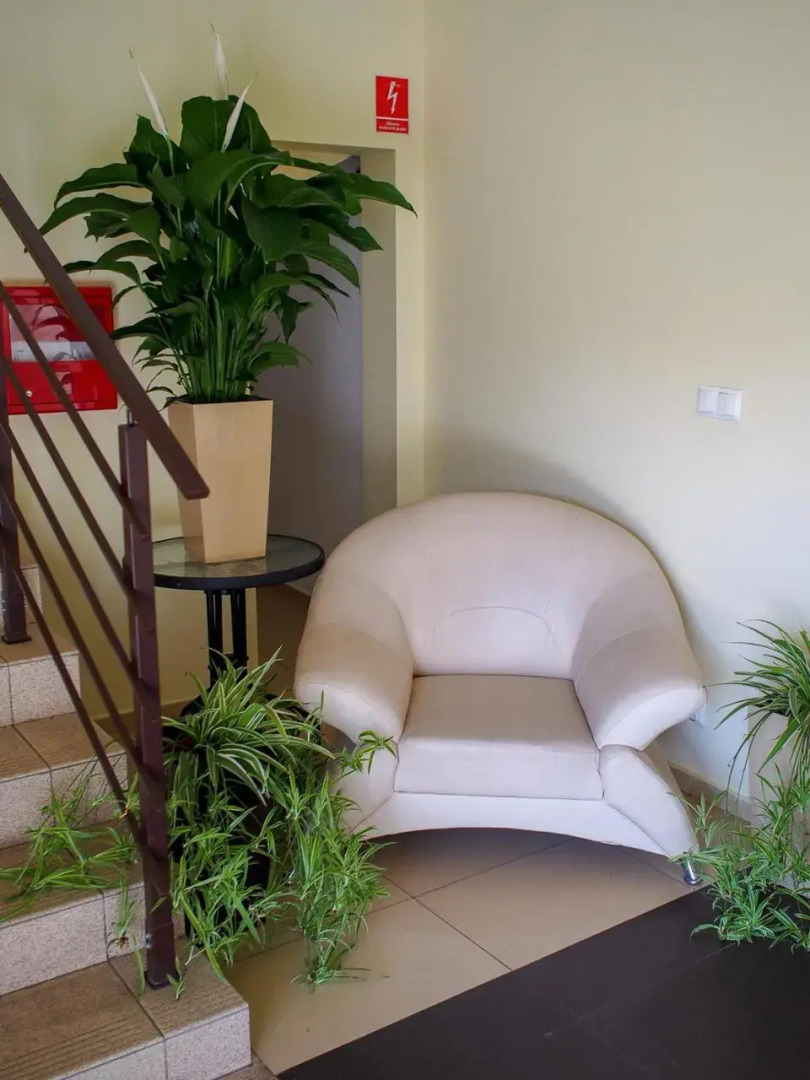 Noclegi Pod Brzozami