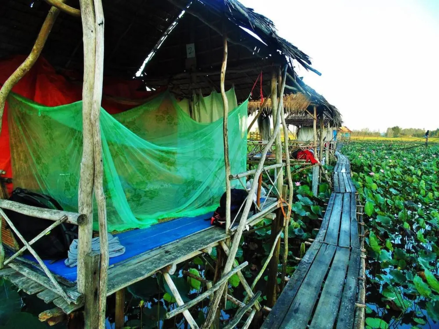 Hai Lua Homestay (Lotus Lake Homestay)