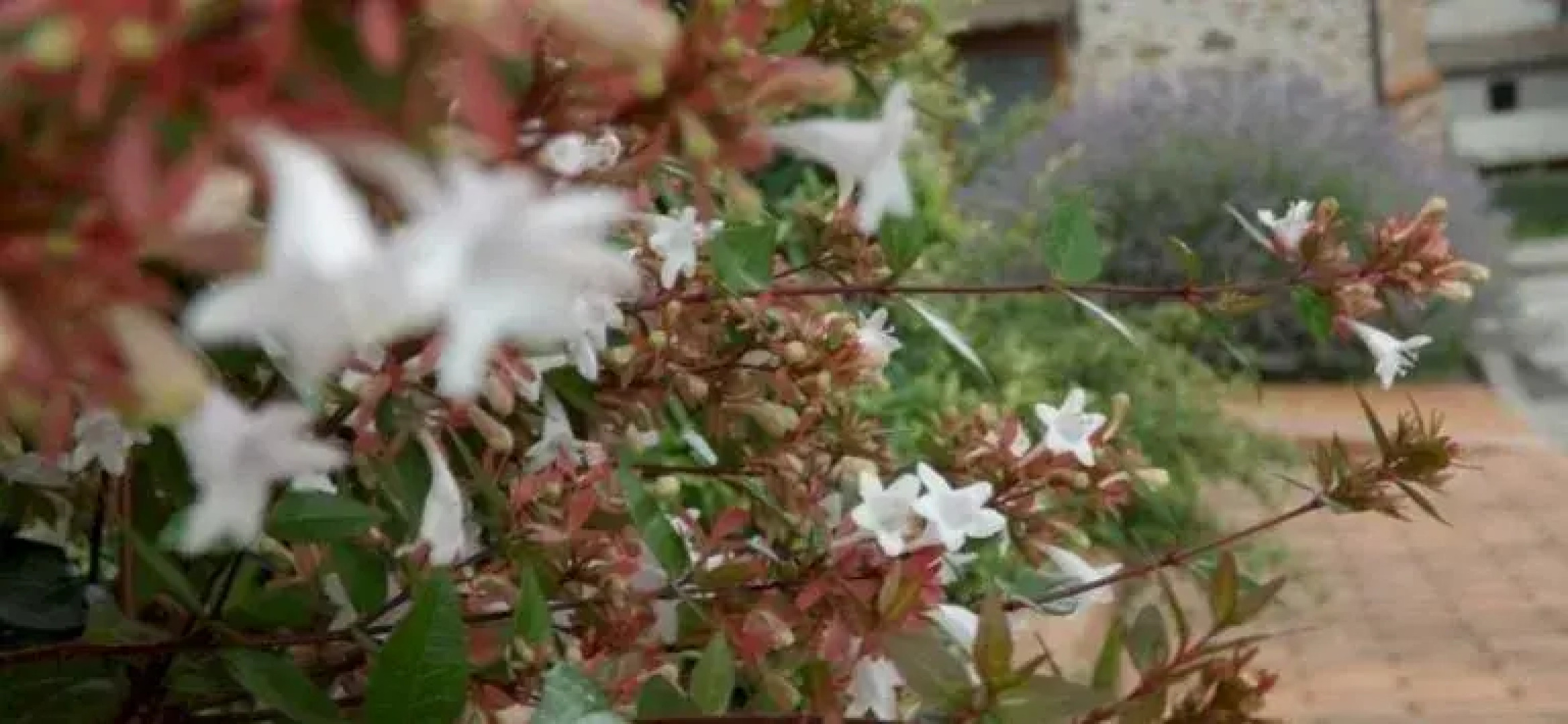 Residence Borgo Alto