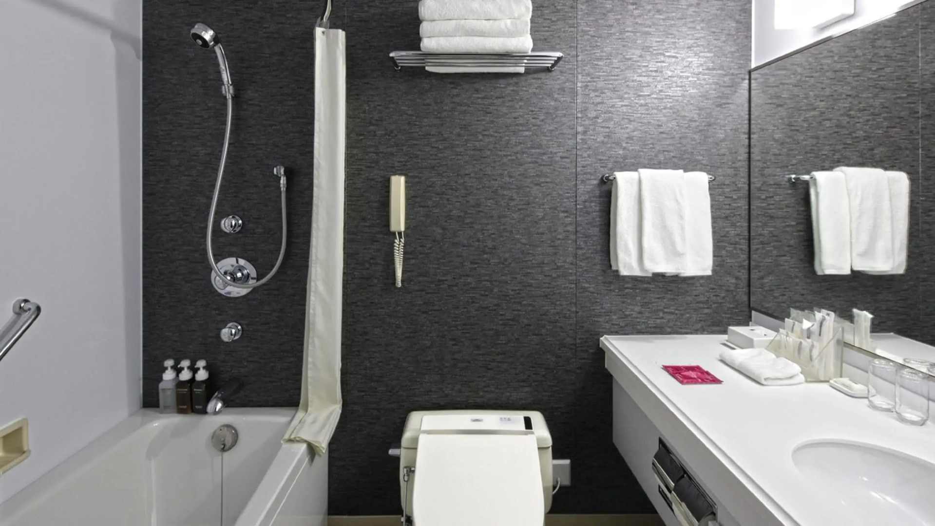 ANA Crowne Plaza Niigata by IHG