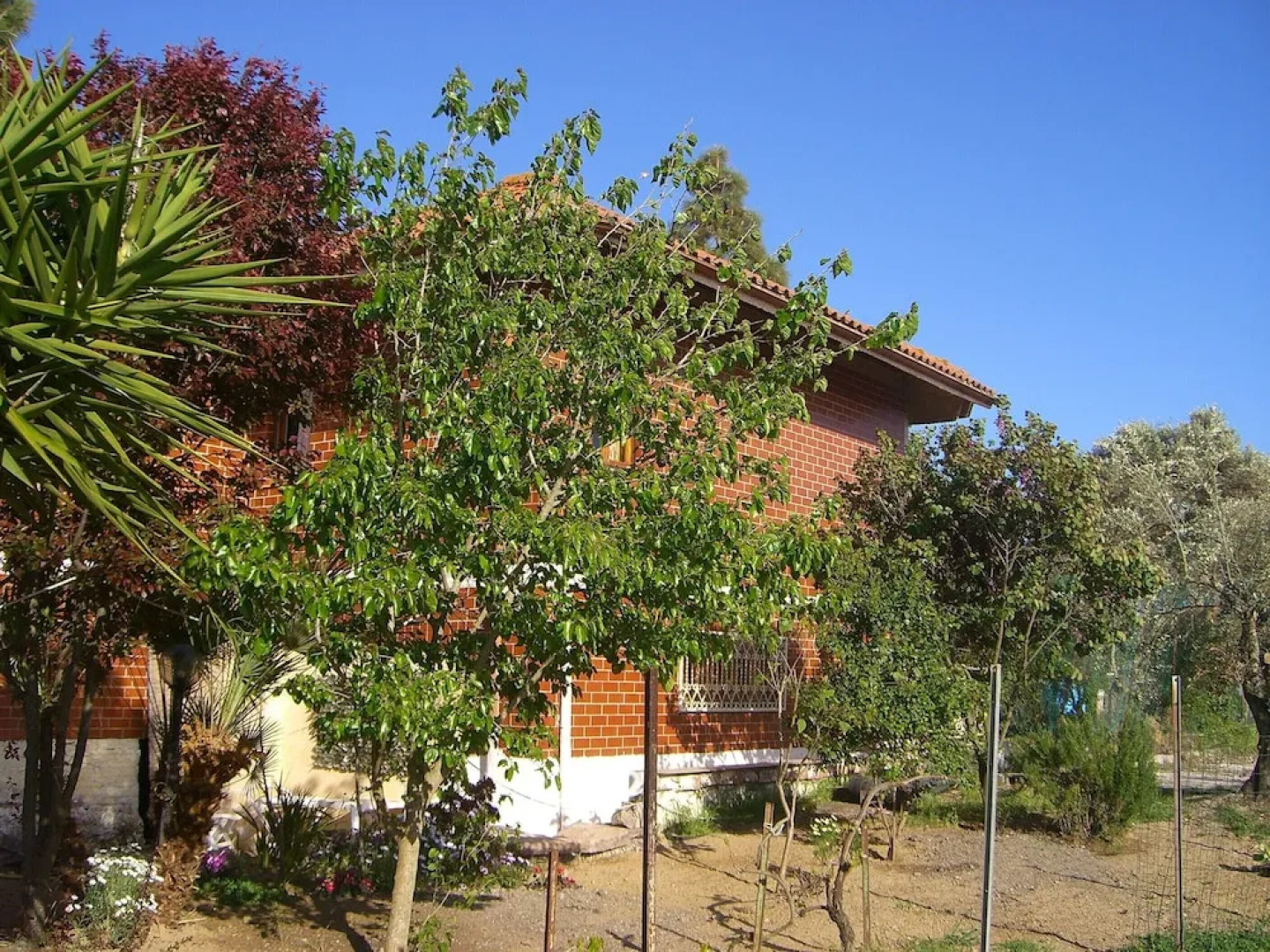 Sa Domu Sarda - Apartment With Terrace 2