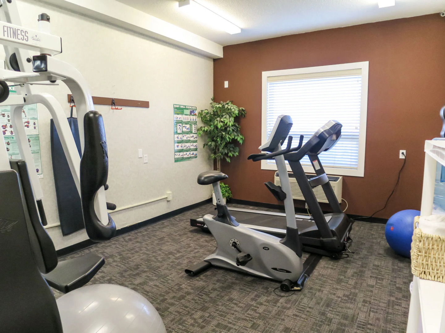 Comfort Inn & Suites Medicine Hat