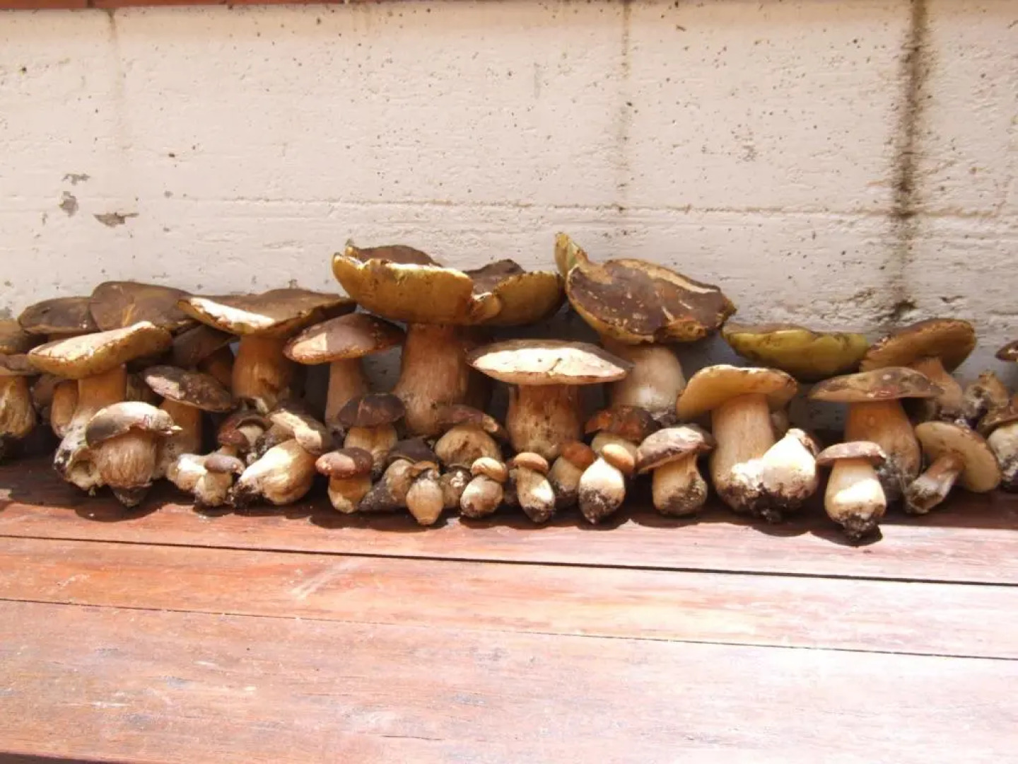 Agriturismo Le Castellare