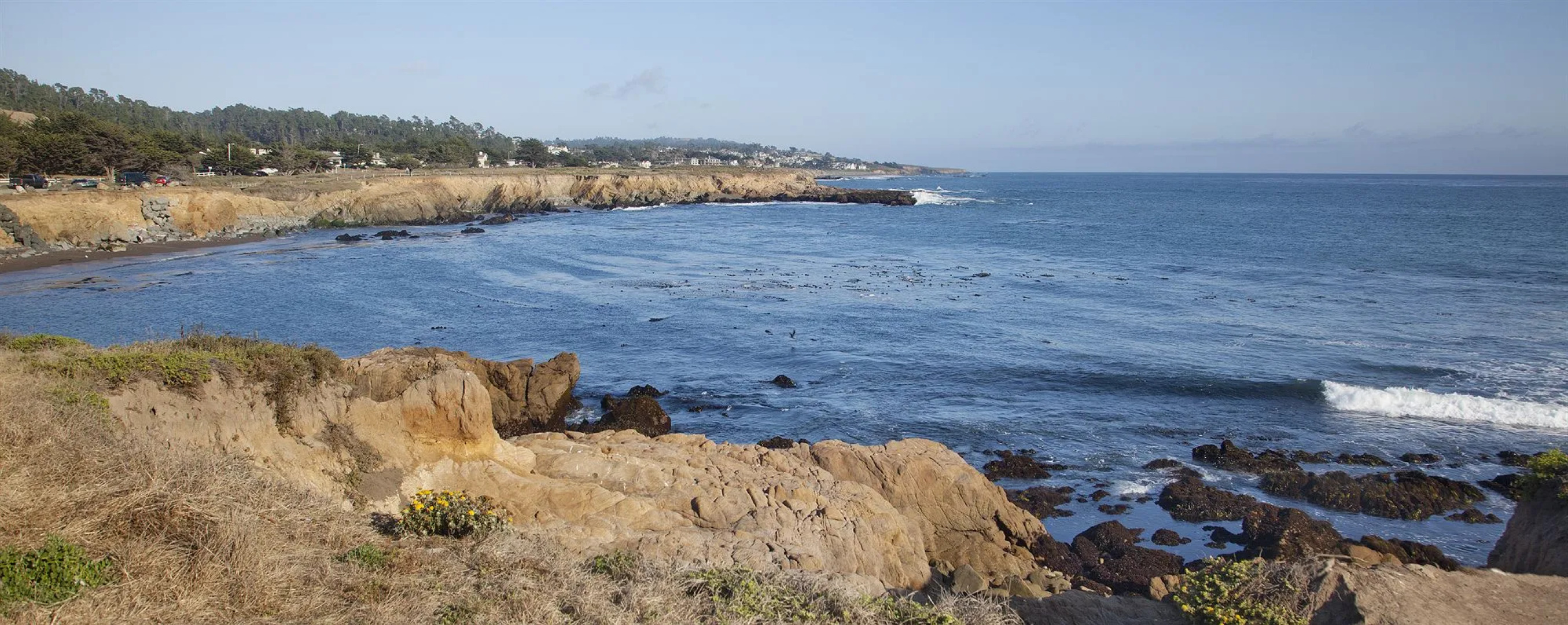 Pelican Inn & Suites