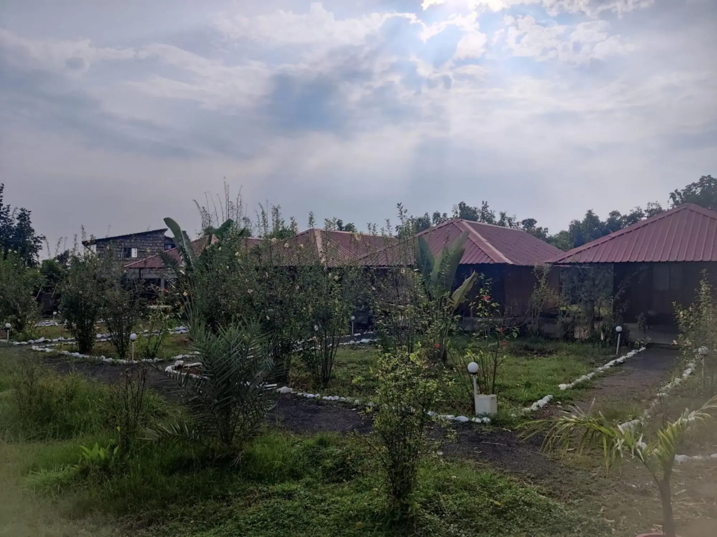 Tadoba Safari Stay Nature's Sprout