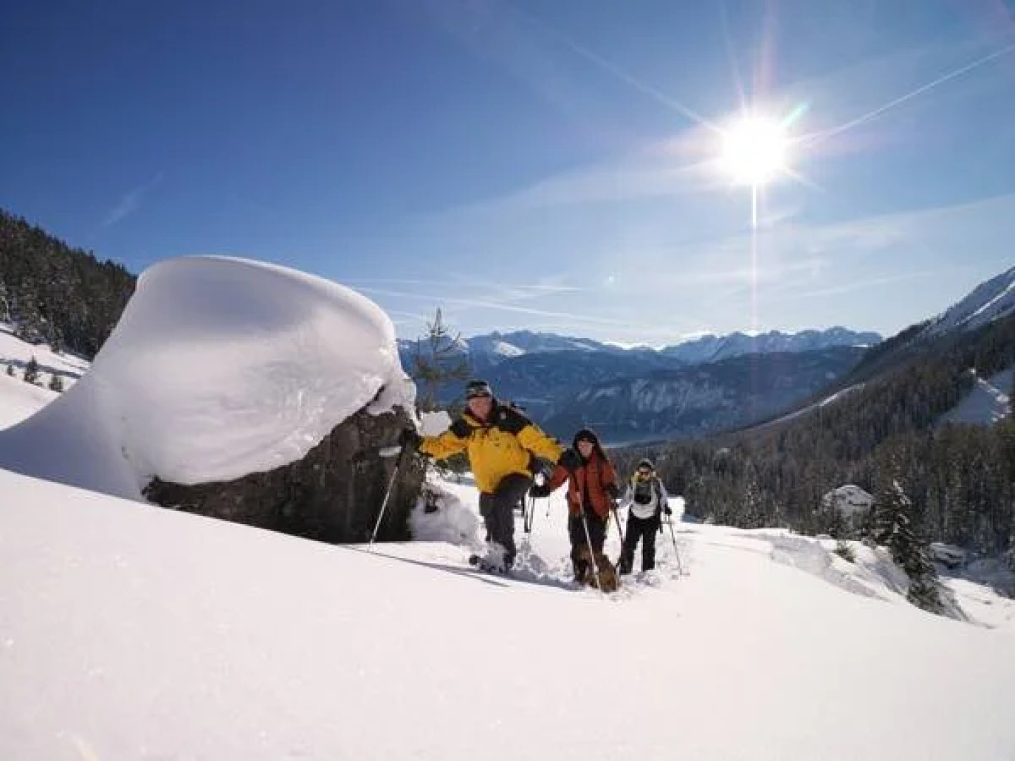 Hotel Appartement Winkler