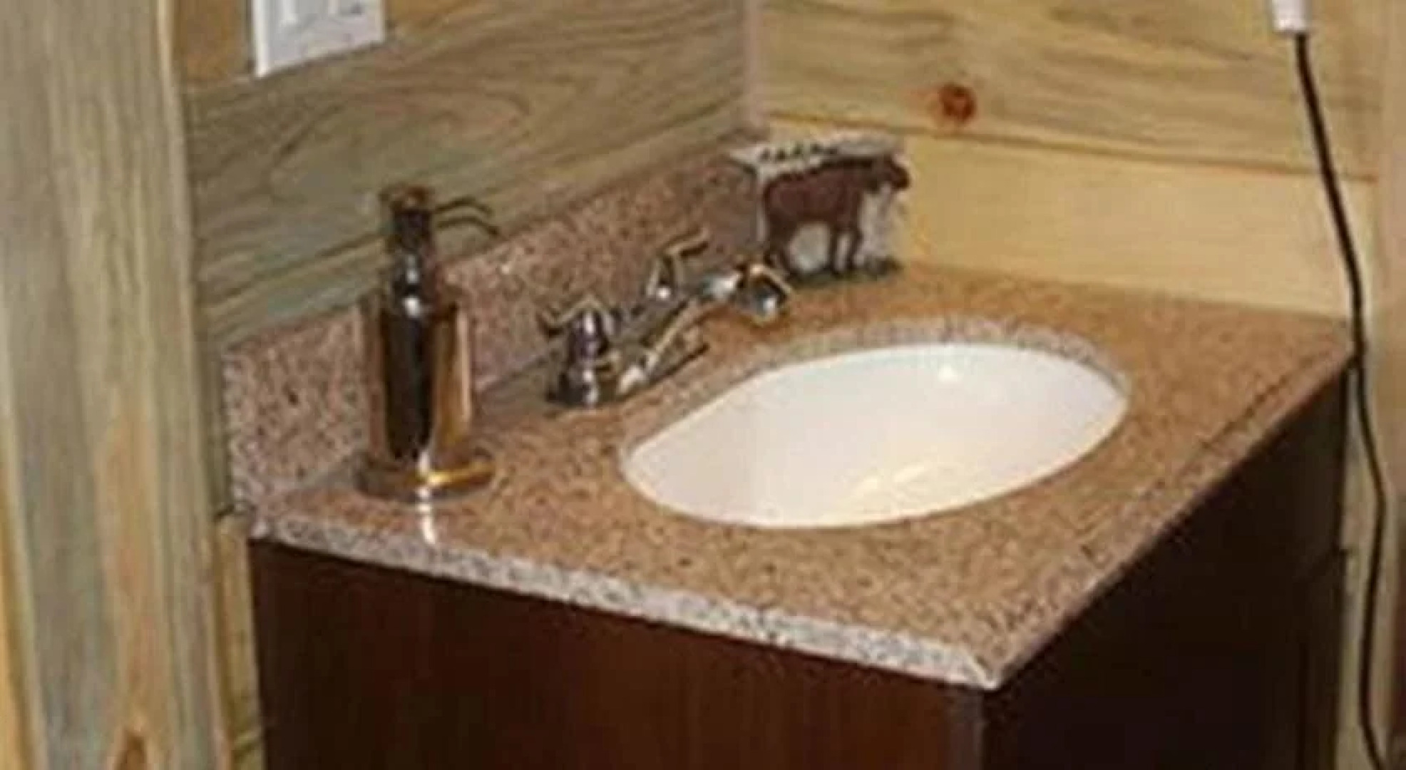 Bear In The Bed and Breakfast