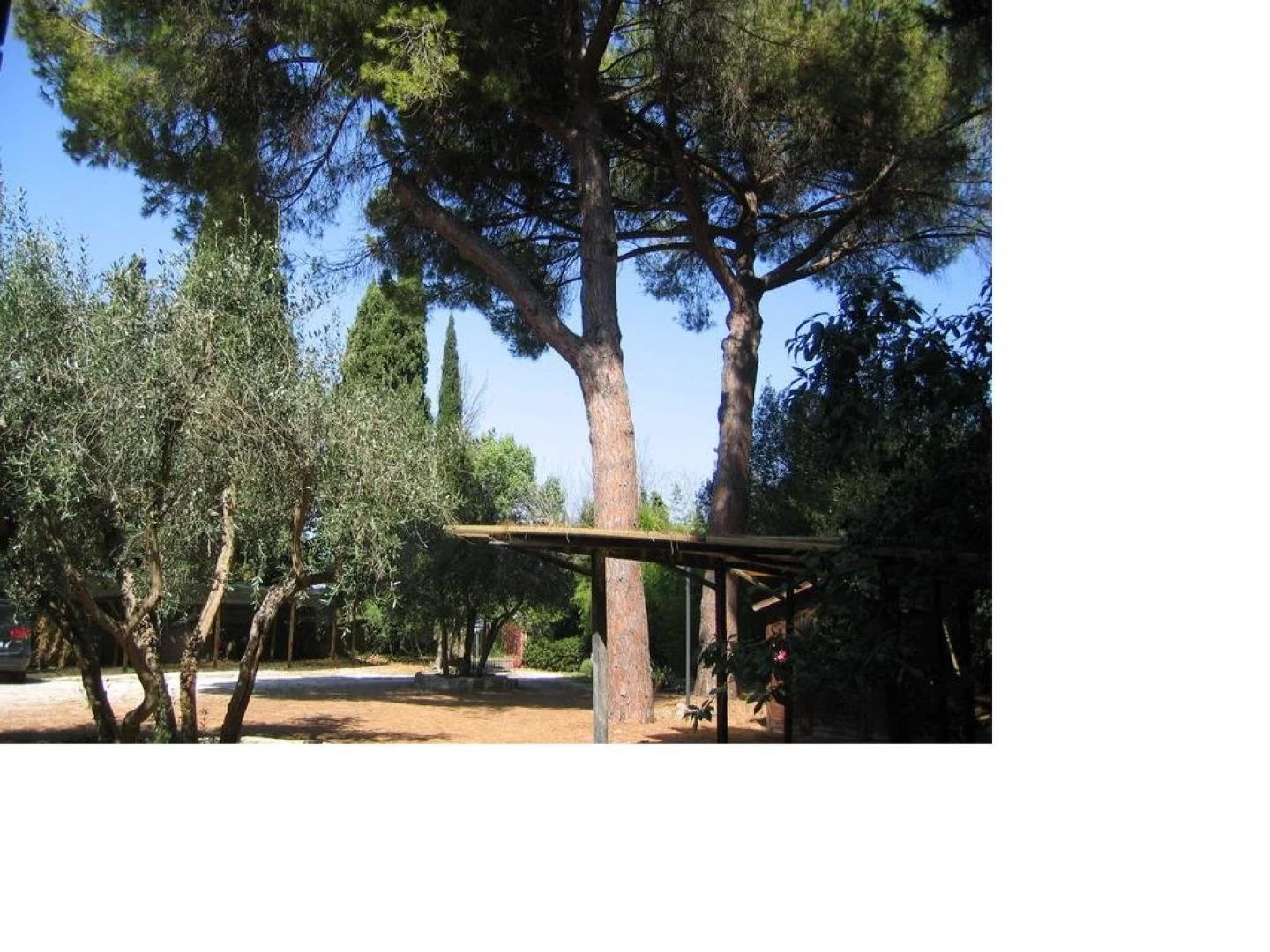 Villa I Tigli Casa Vacanze