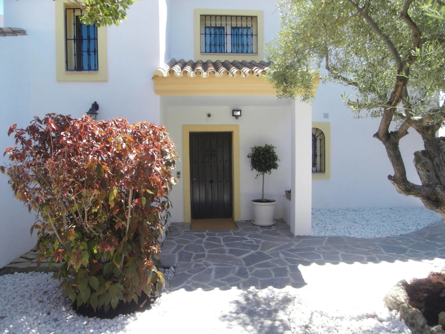 Three Palms (Adults only)