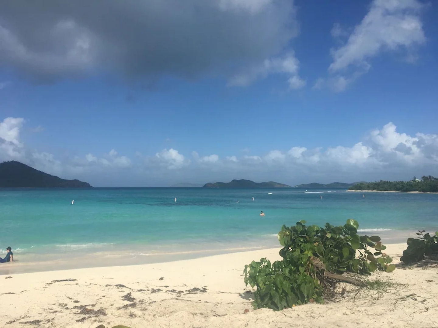 At Home in the Tropics