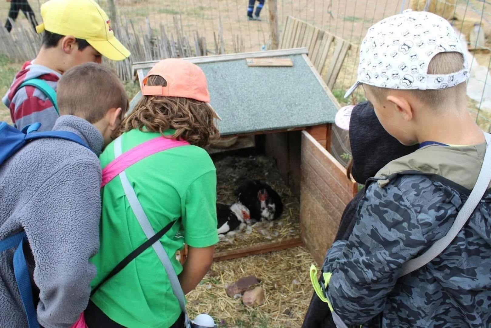 El Tío Carrascón - Hostel