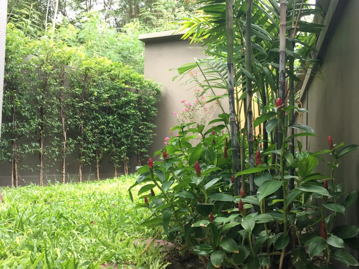 Tandeaw View (SHA Extra Plus)