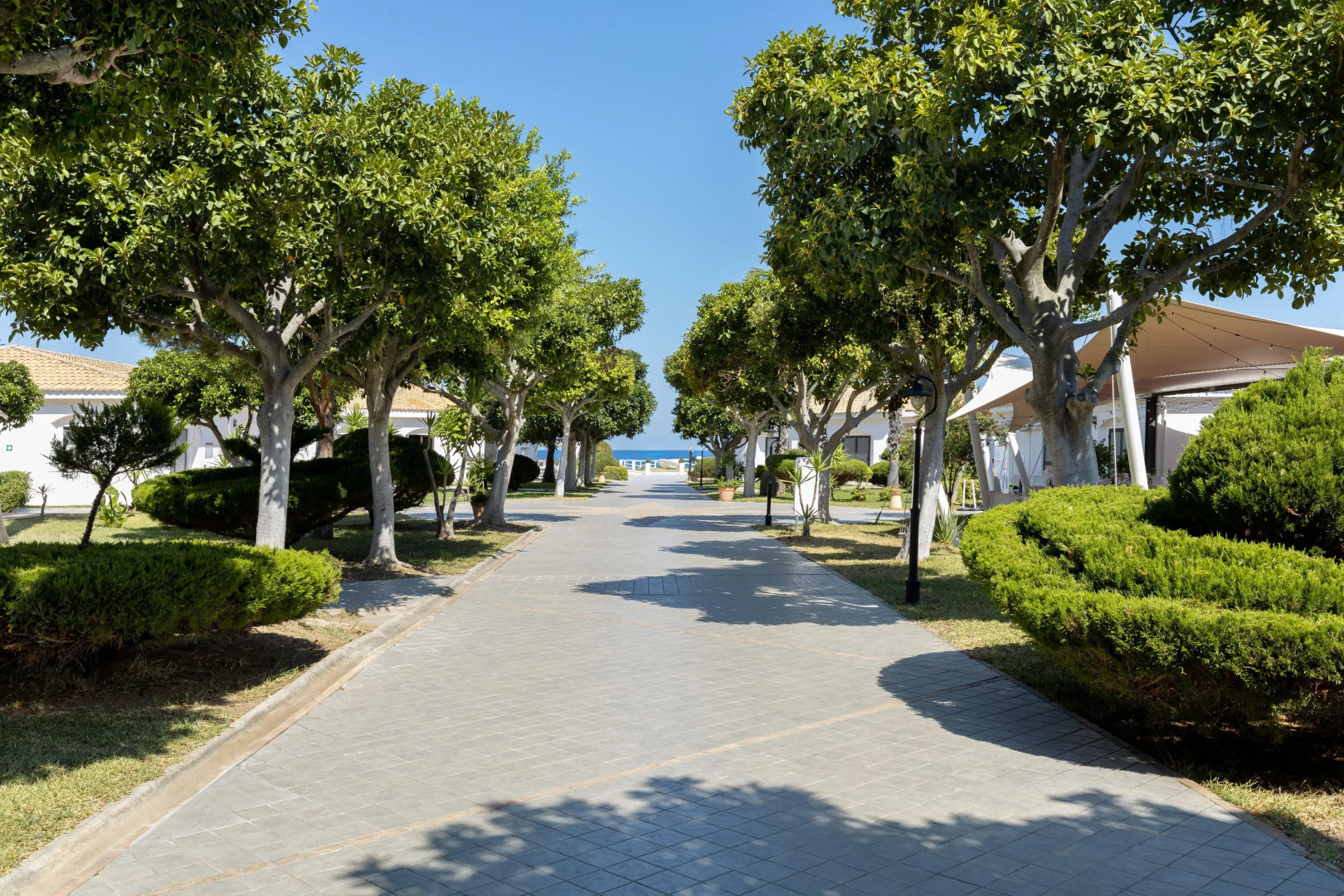 VOI Le Muse Essentia