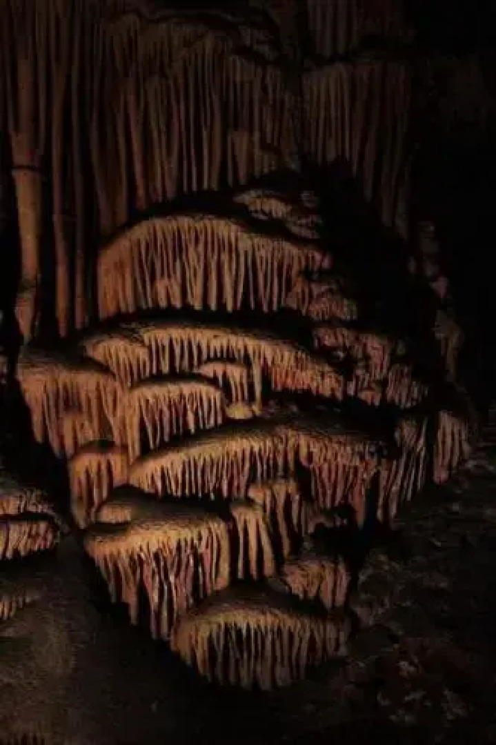 Tinkovata Guest House